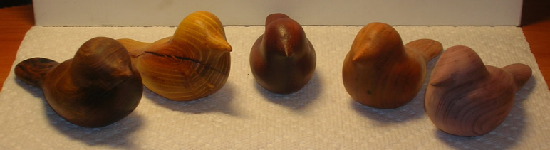 Bird woodcarvings by Jim Mischel