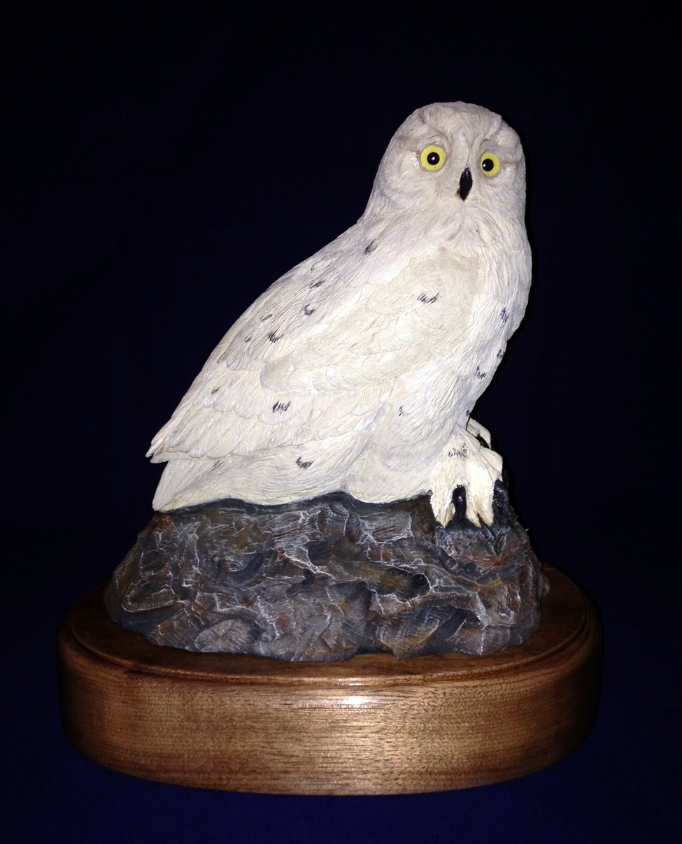 Dwight Vance owl