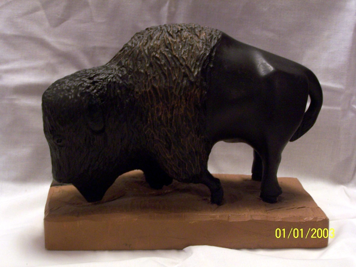 Eldridge Tidwell, bison